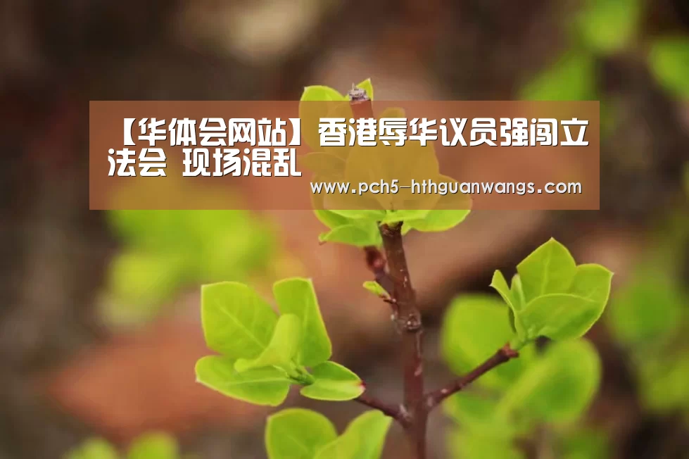 【华体会网站】香港辱华议员强闯立法会 现场混乱(图2) 华体会官方