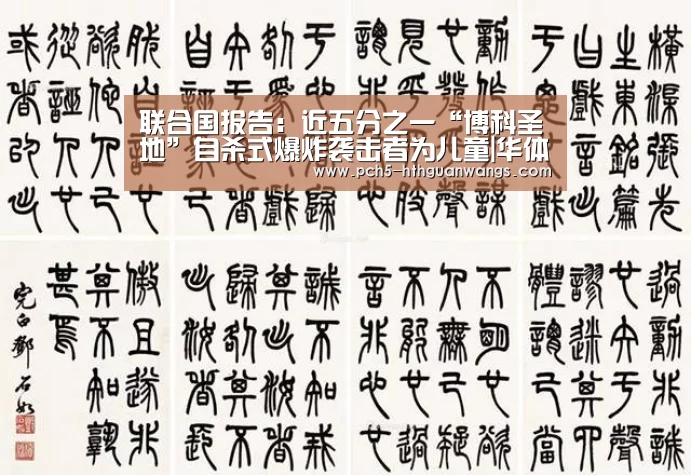 联合国报告:近五分之一“博科圣地”自杀式爆炸袭击者为儿童|华体会官网(图1) 华体会官网