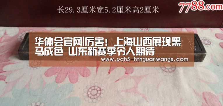 华体会官网|厉害!上海山西展现黑马成色 山东新赛季令人期待(图1) 华体会网站