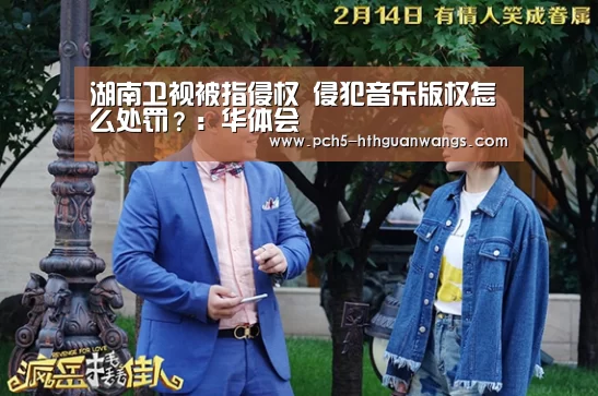 湖南卫视被指侵权 侵犯音乐版权怎么处罚?:华体会(图4) 华体会体育