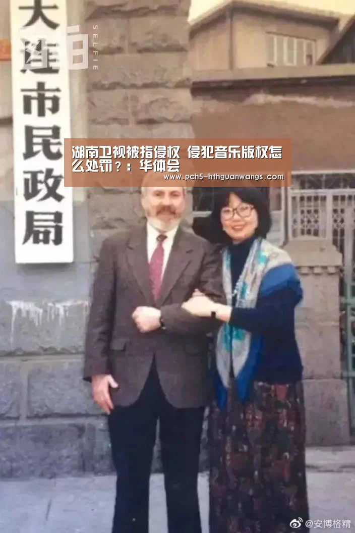 湖南卫视被指侵权 侵犯音乐版权怎么处罚?:华体会(图3) 华体会